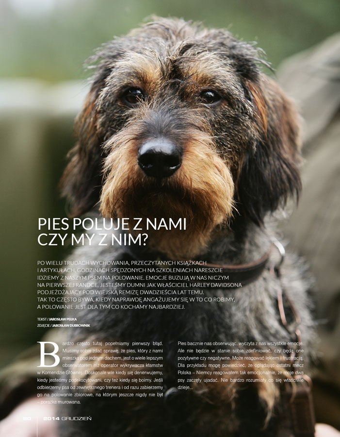 Pies poluje z nami, czy my z nim, a więc jesteśmy w lesie …