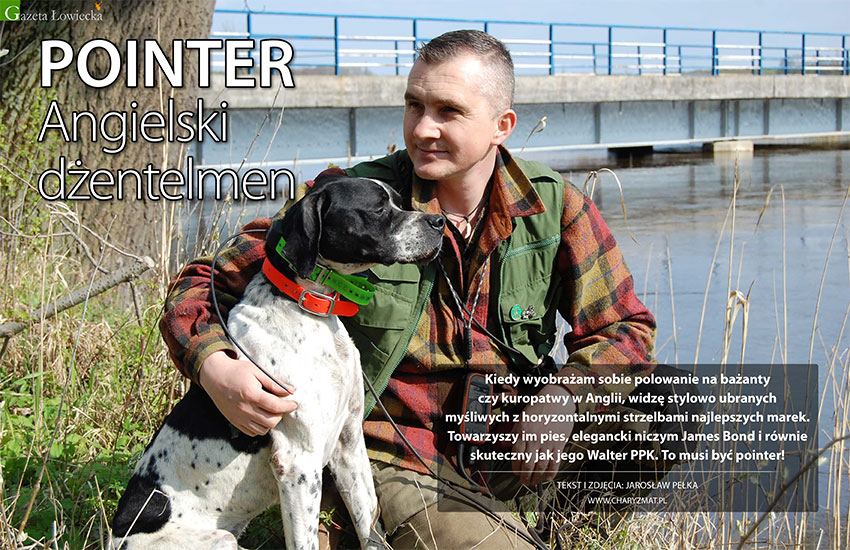 Pointer – angielski dżentelmen