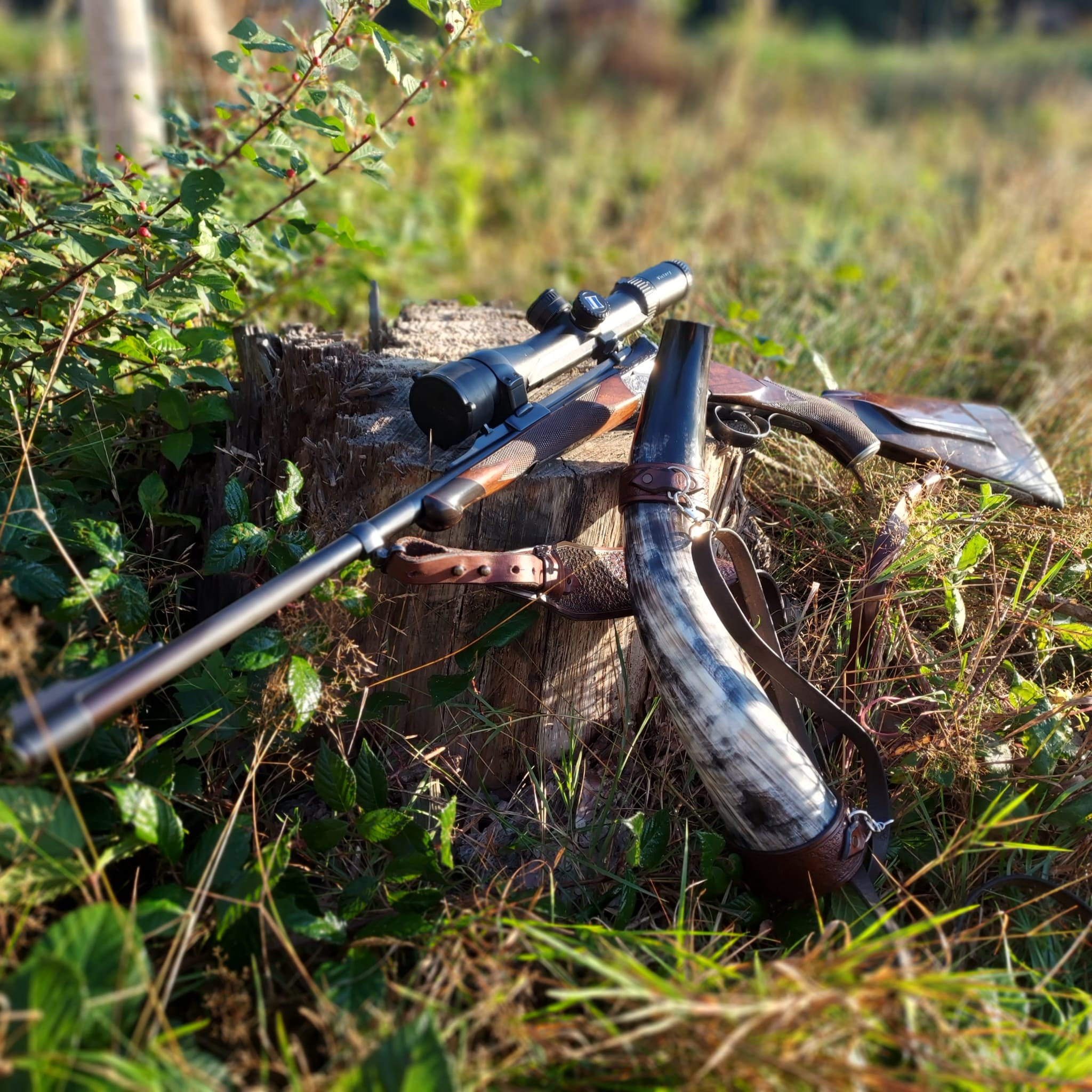 Po strzale (w chwale …?)